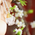 Bảo Bình Bạch Liên Hoa